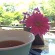 小倉山荘カフェ
