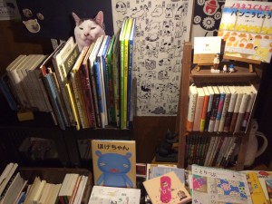 ことばのはおと・猫本コーナー
