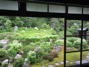 両足院の半夏生の庭園2