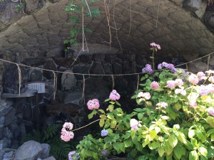 善峯寺・あじさい苑の白山名水