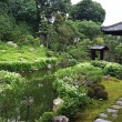 両足院の半夏生の庭園
