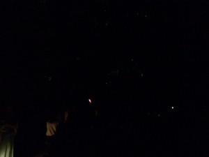 下鴨神社・ホタル観賞