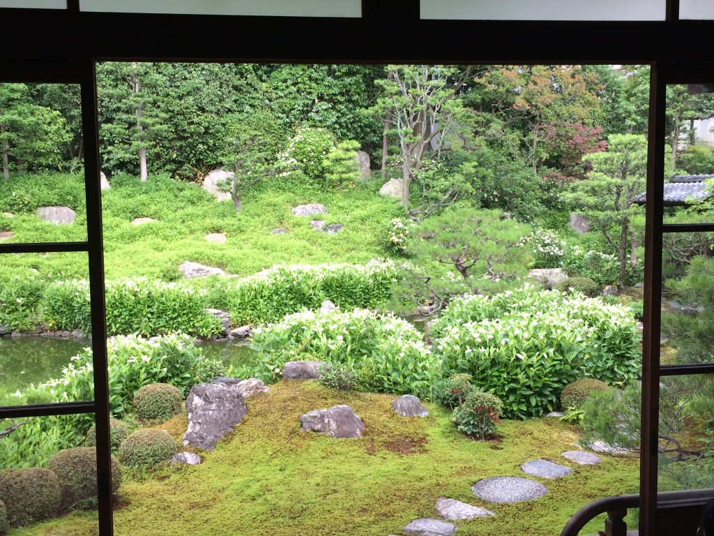 両足院・半夏生の庭園