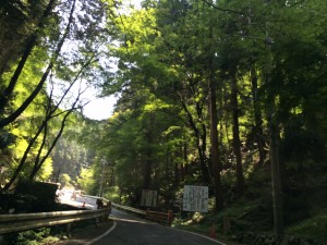 善峯寺への道