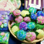 三室戸寺・あじさい園の出店