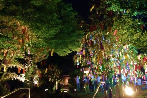 高台寺・七夕会2