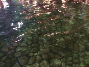 下鴨神社・みたらし祭り7