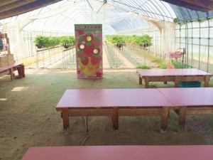 まさみ農園いちご狩り2