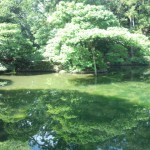 桂離宮5