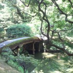 桂離宮7