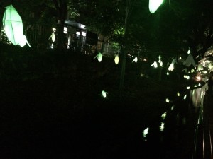 京の七夕　蛍の森2