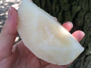 八幡梨狩園の写真11