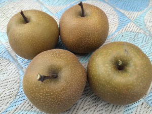 八幡梨狩園の写真6