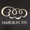 大阪の新観光名所！あべのハルカス展望台「HARUKAS 300」